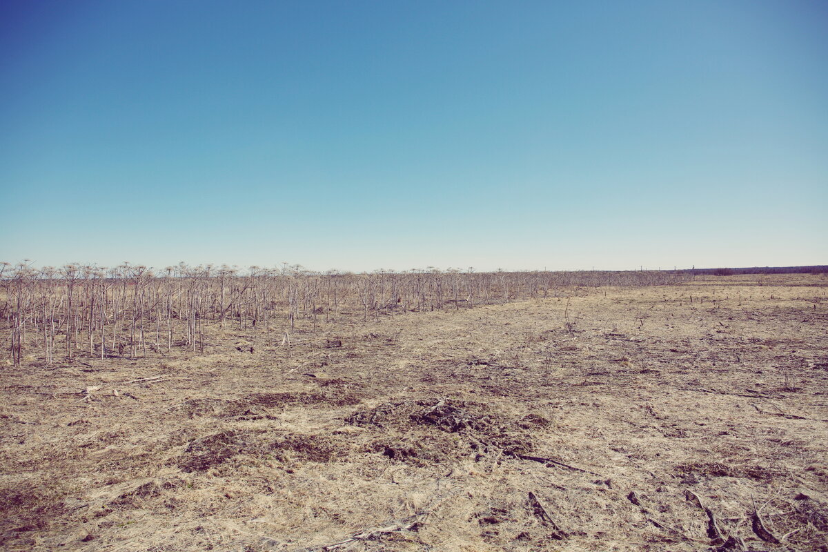 прочее - Денис Безногов
