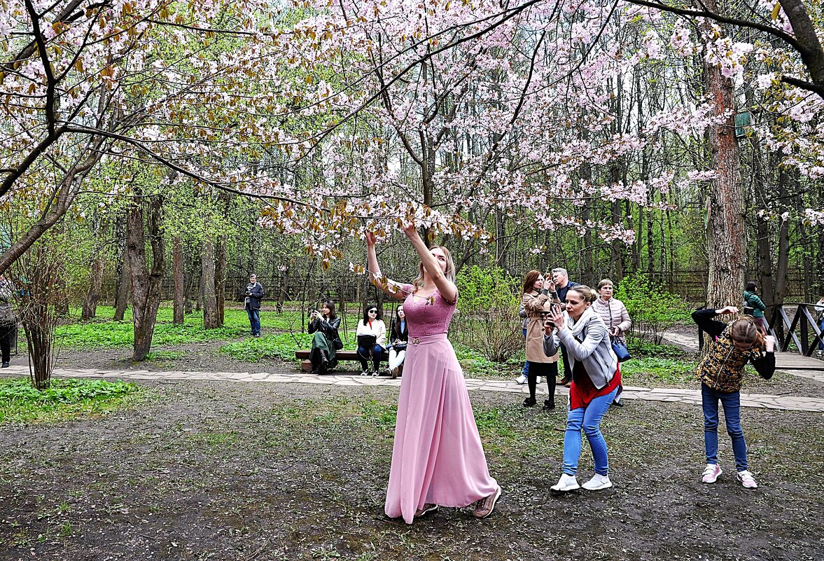 Розовое в розовом,,, - Анатолий Колосов