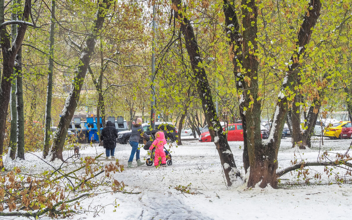 Непогода в Городе - юрий поляков