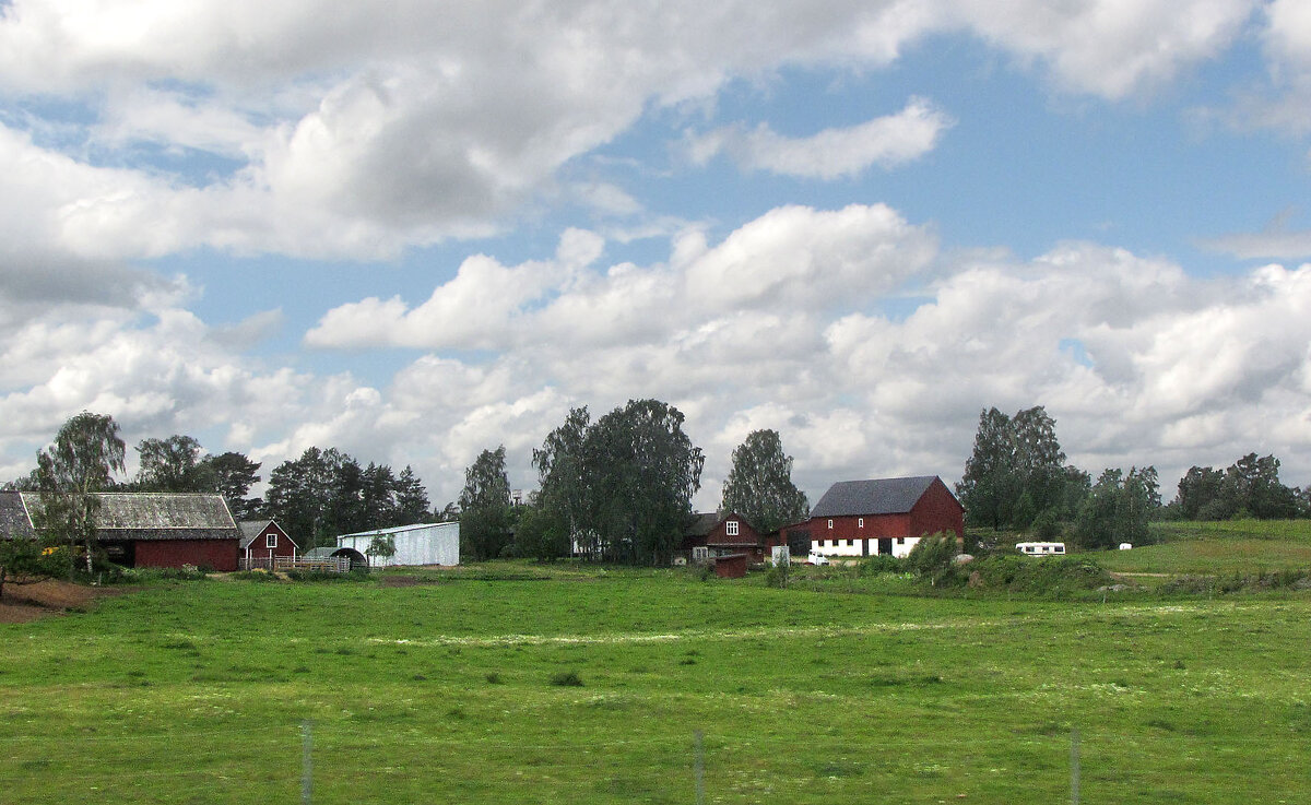 Ферма Хорнсборг (Hornsborgs Gård) - Александр Ильчевский 