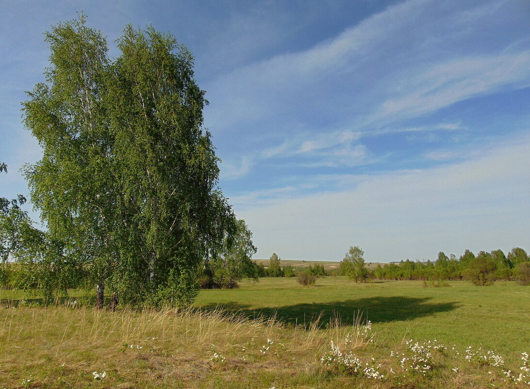 Погожий майский день в преддверье лета. - nadyasilyuk Вознюк
