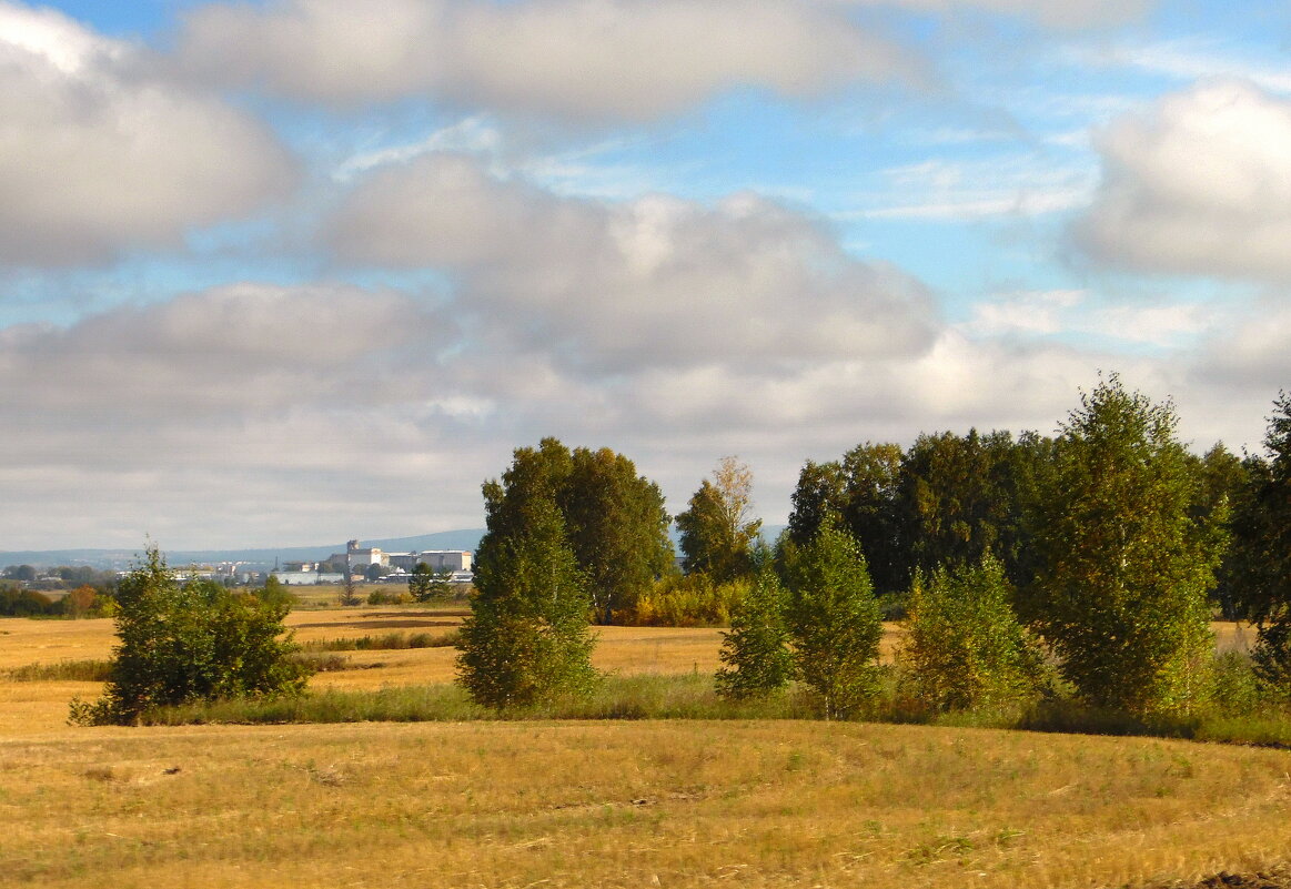 Осени начало. - nadyasilyuk Вознюк