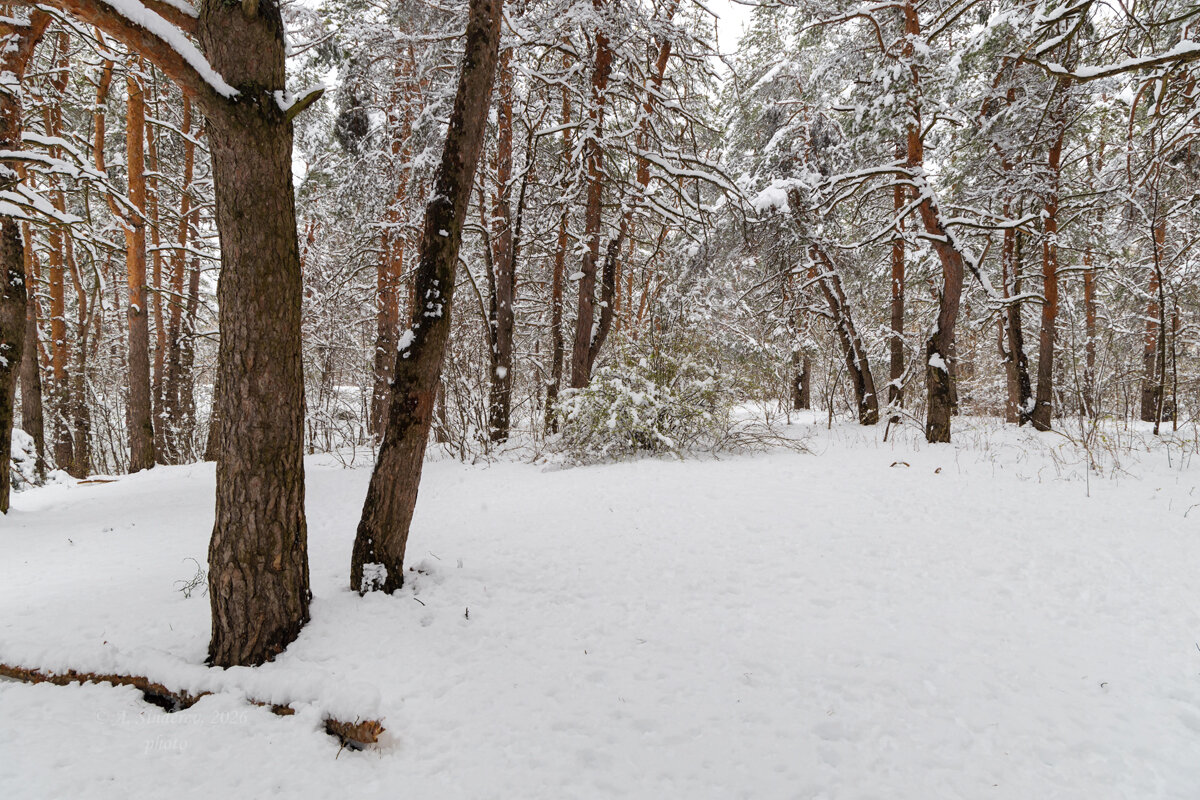 Зимний пейзаж в апреле - Александр Синдерёв