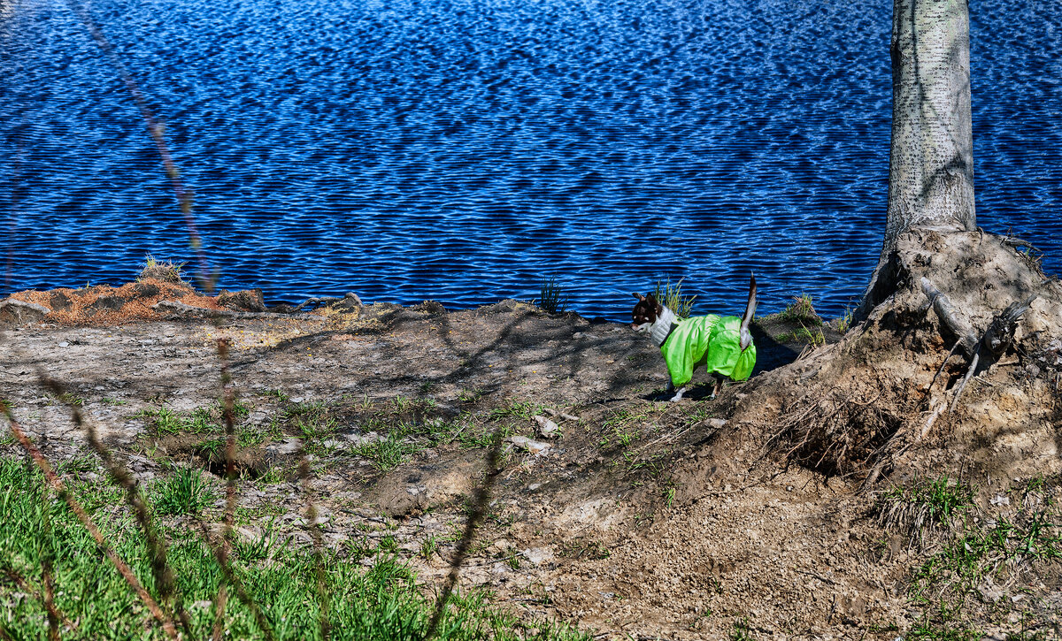 В парке Малевича - Юрий Яньков