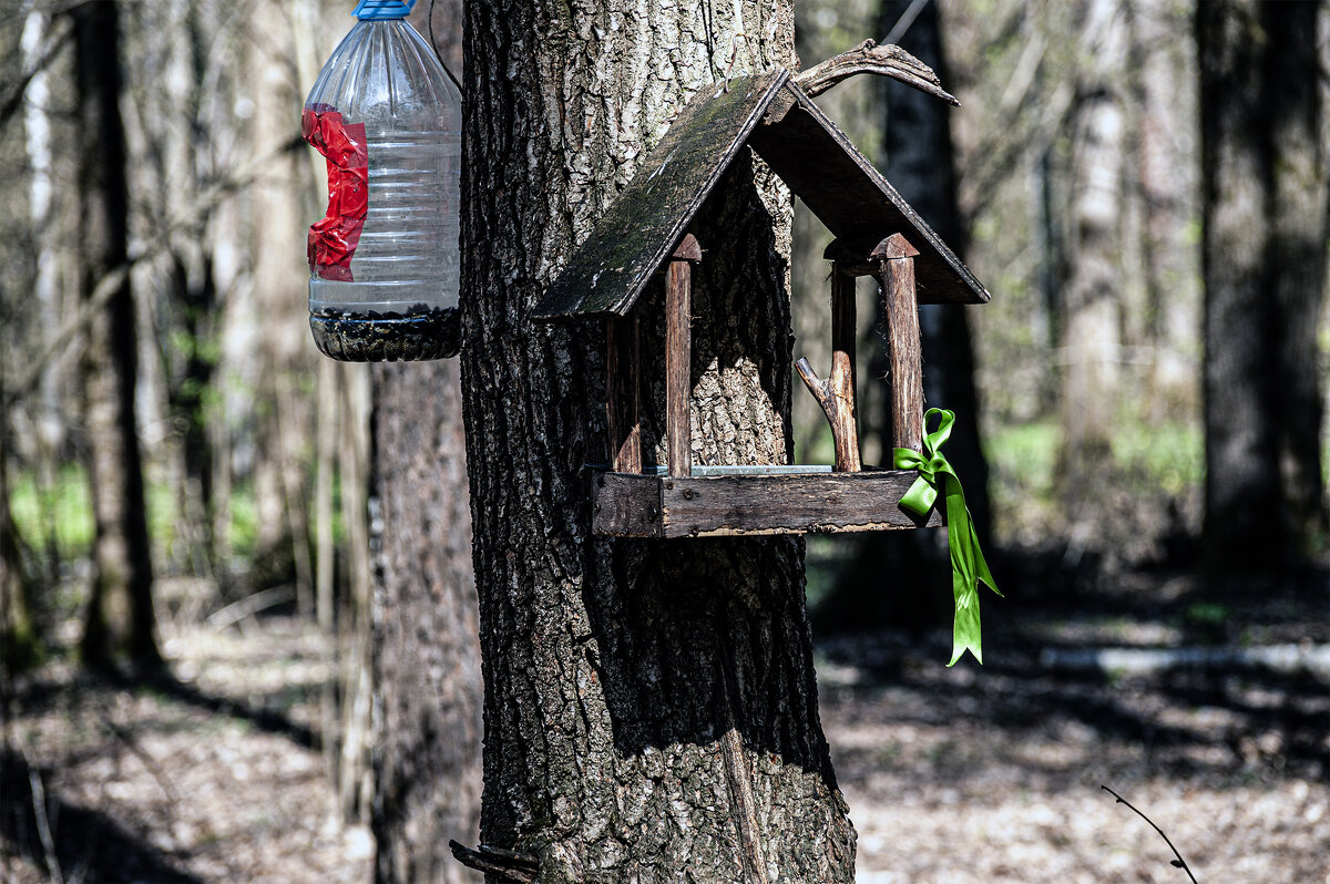 В парке Малевича - Юрий Яньков