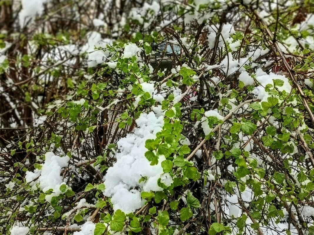 Апрель - Михаил Столяров