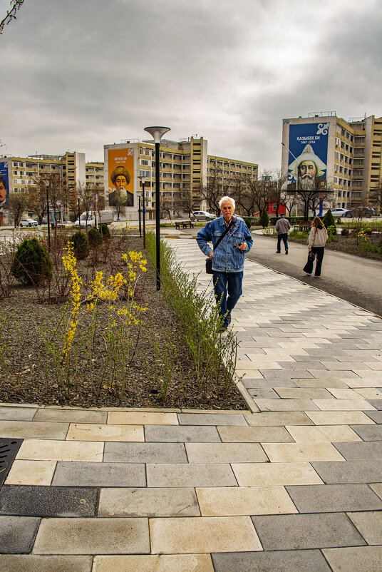 Прогулка - Анатолий Чикчирный