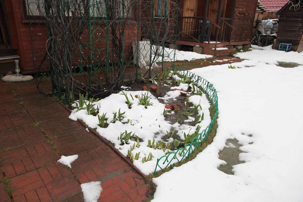 Дачные  мотивы. - Михаил Елочкин