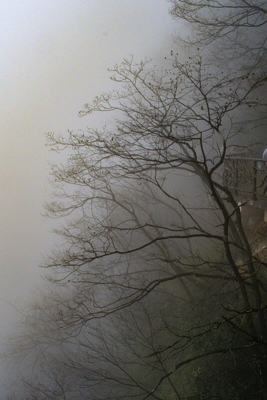 На вершине горы - Георгий А