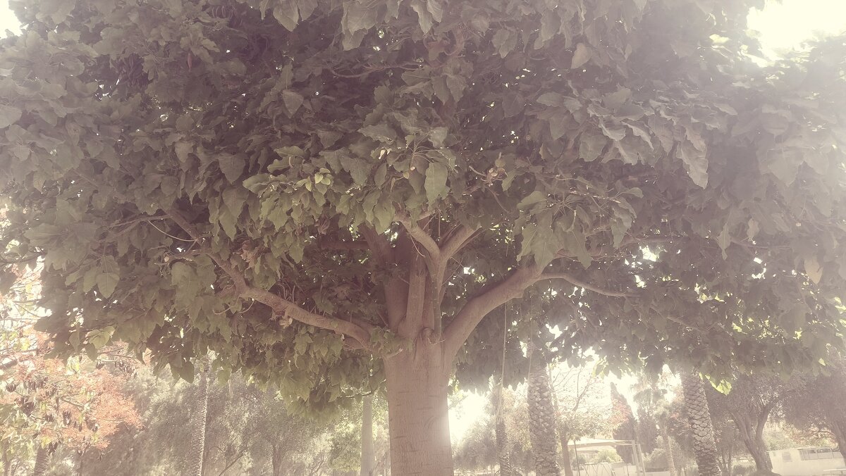 14  КЛОС (147) - CLOSE WAYS ALL