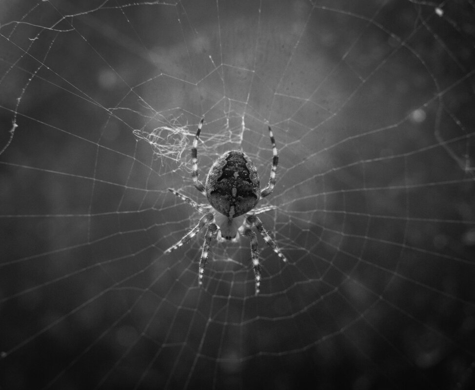 В ожидании - Игорь 