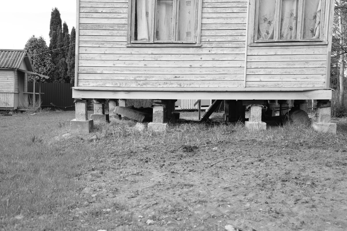 Мечты о ч/б Лейке 115. - Михаил Елочкин