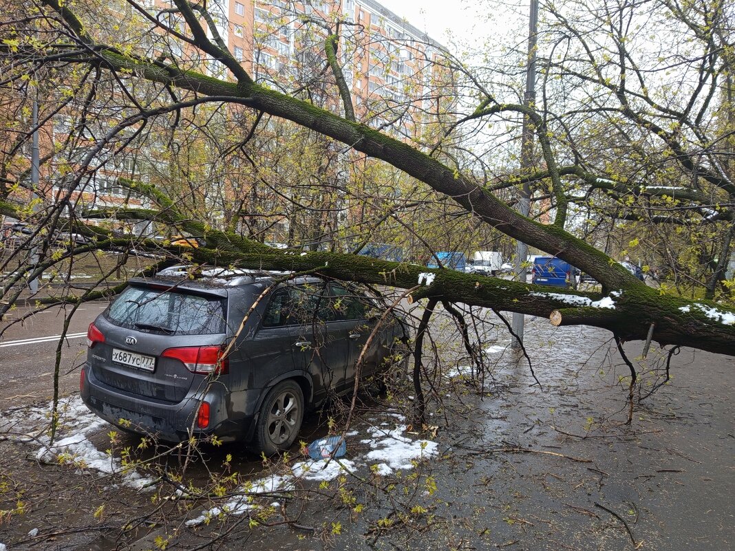 И нас не обошла сия чаша. Но здесь еще и повезло - Андрей Лукьянов