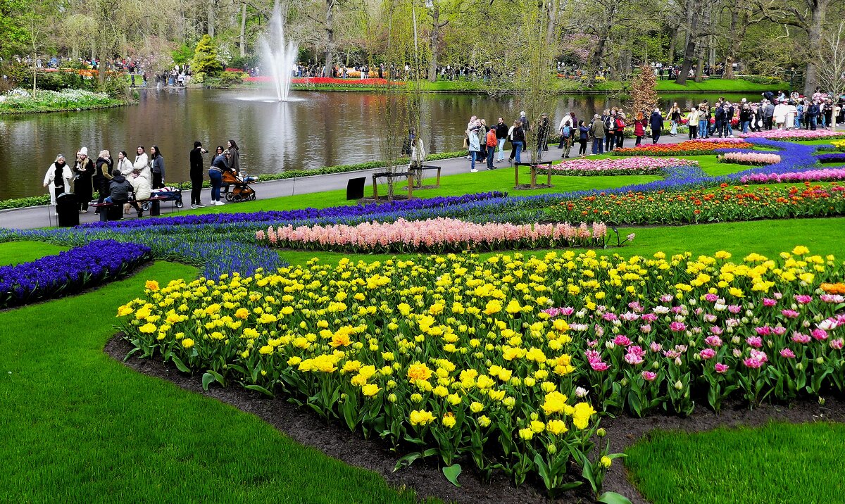 Королевство цветов(серия) - Владимир Манкер