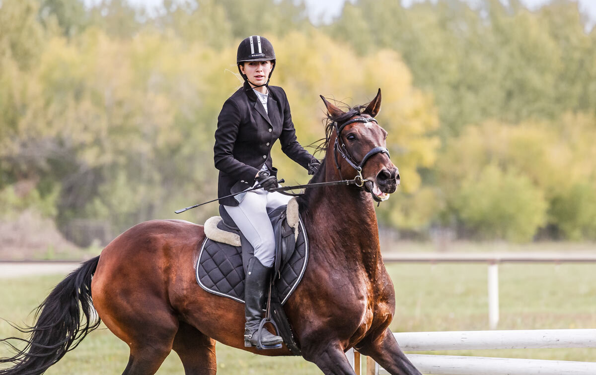 Конкур - SanSan 