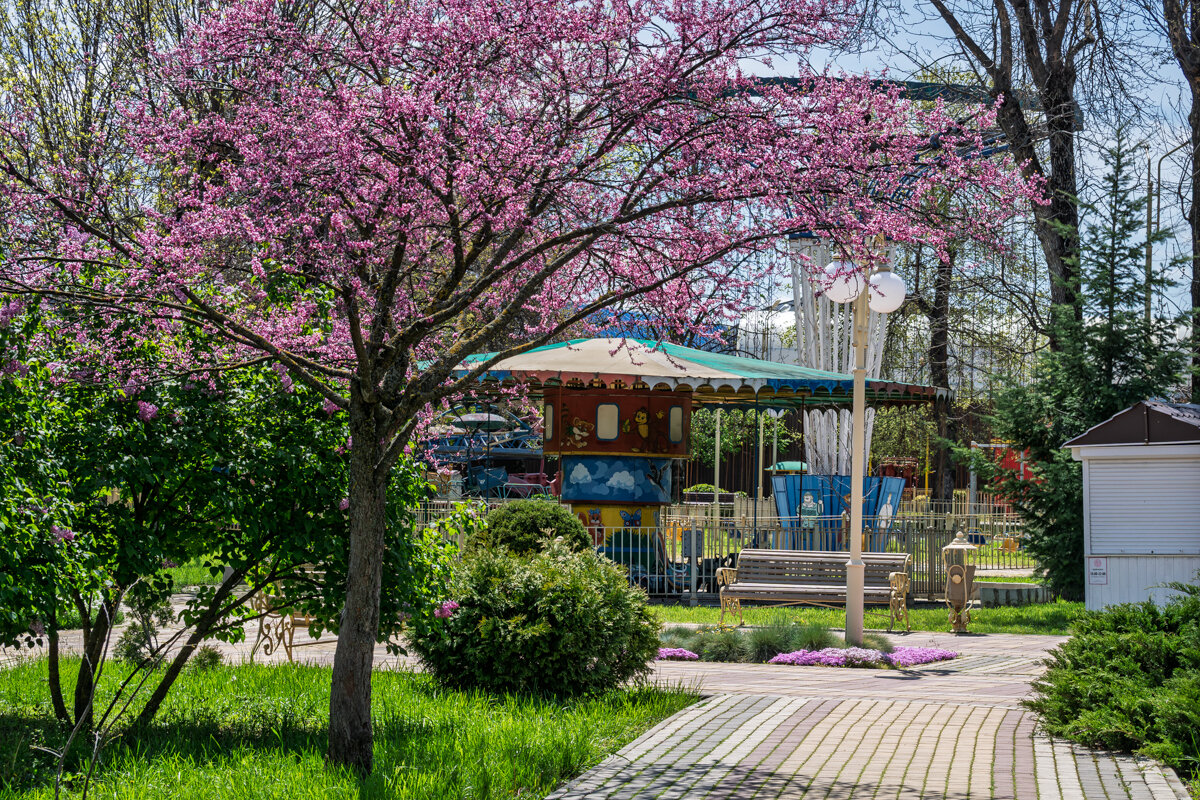 Весна в городе Армавир - Игорь Сикорский
