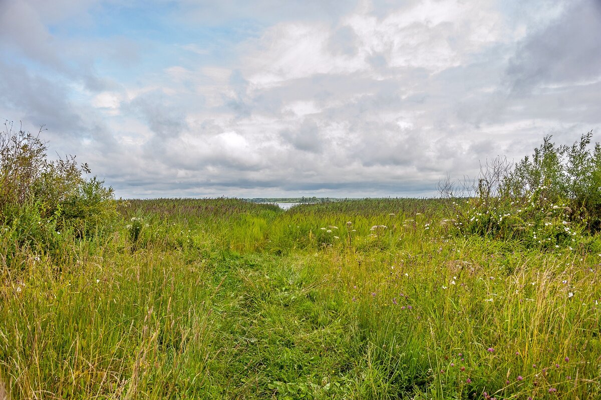 Синоптики обещают малоснежное лето - Валерий Иванович