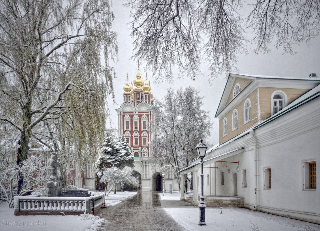 Новодевичий монастырь - Andrey Lomakin