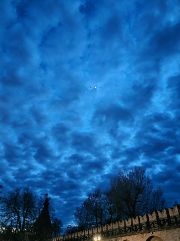 ВЫШЕЛ МЕСЯЦ ИЗ ТУМАНА - Юрий Вовк