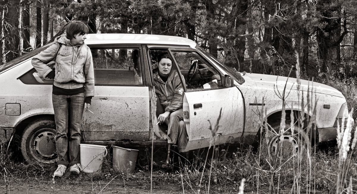 Грибов нет - СЮ 