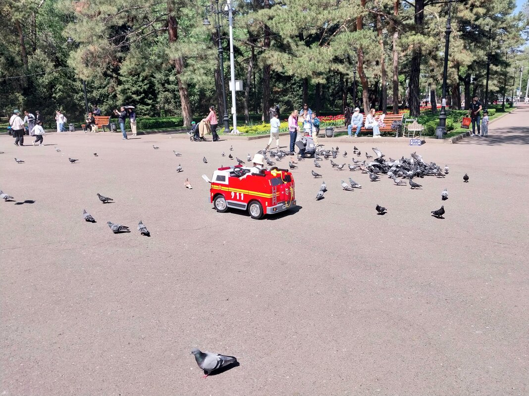 Almaty. - Murat Bukaev 