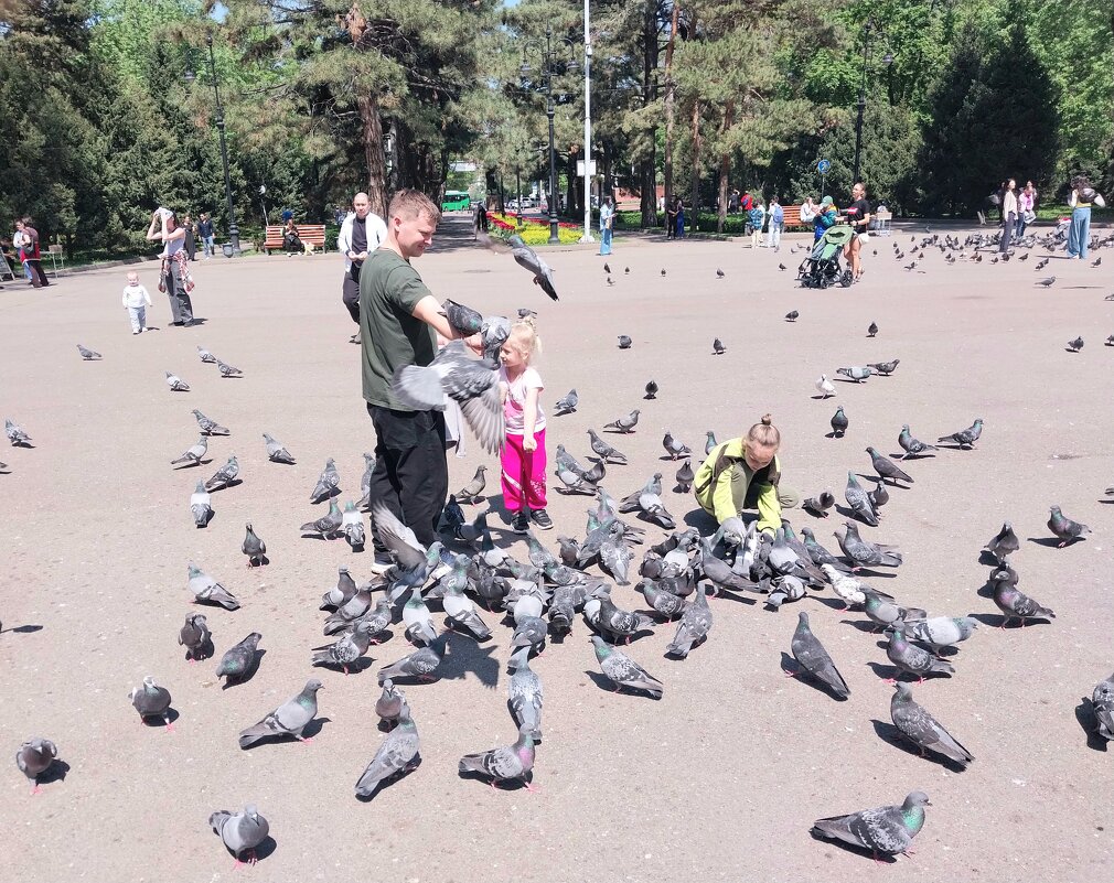 Almaty. - Murat Bukaev 