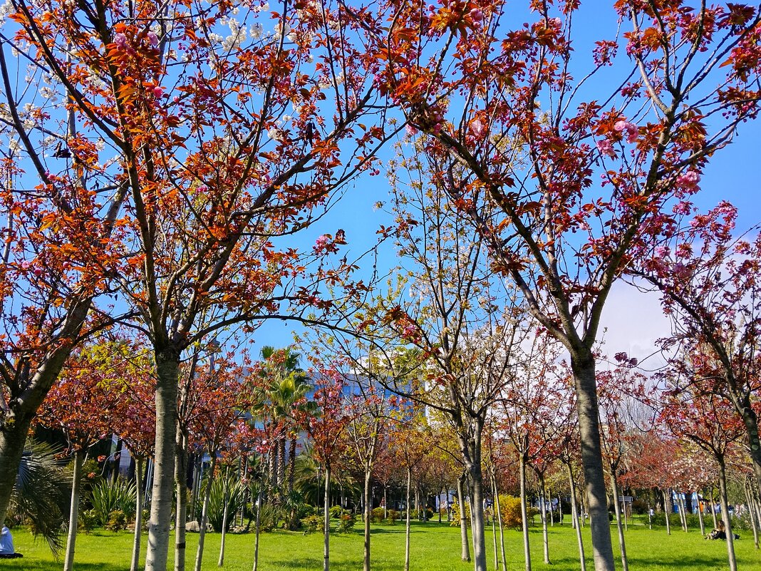 ПРОБУЖДЕНИЕ - Tata Wolf