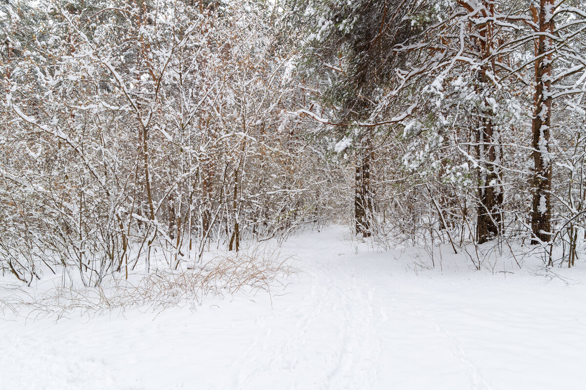 Пейзаж в апрельский снегопад - Александр Синдерёв