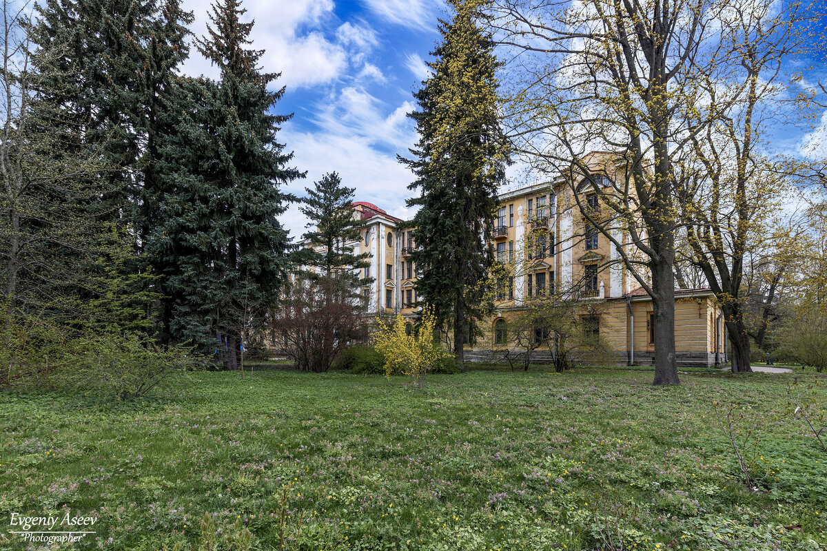 Весна в Ботаническом саду - Евгений 