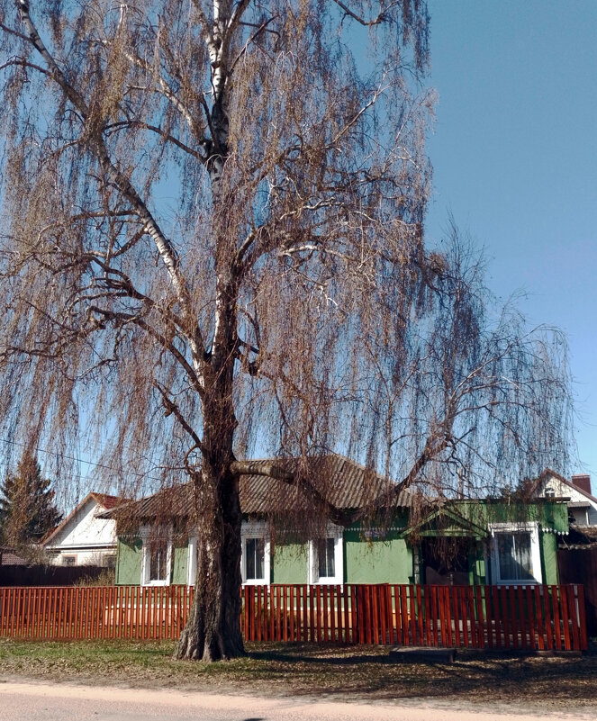 Ровесники - Валентина Береснева