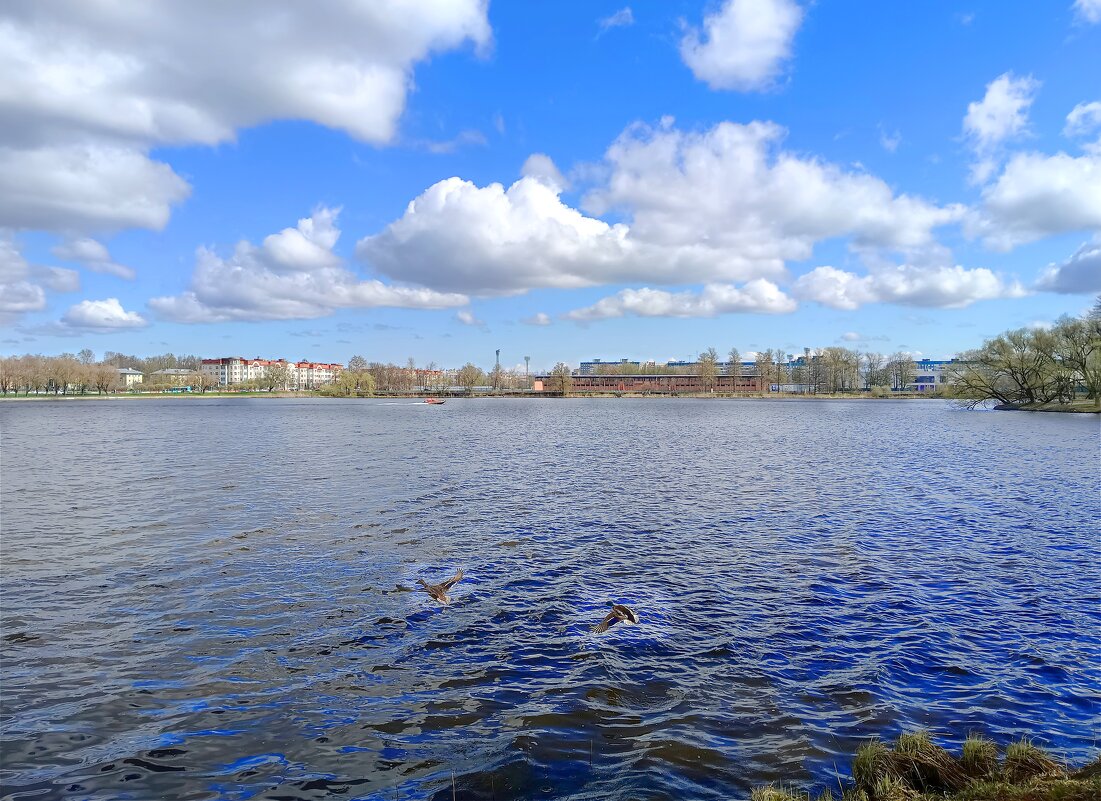Плывут по небу облака... - Мария Васильева
