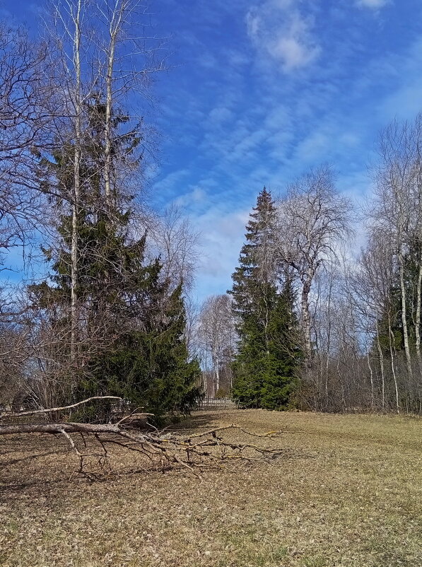 Апрельское .. - Татьян@ Ивановна