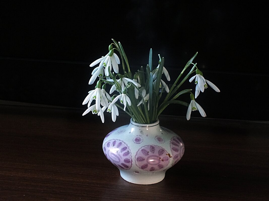 ** - Зоя Мишина