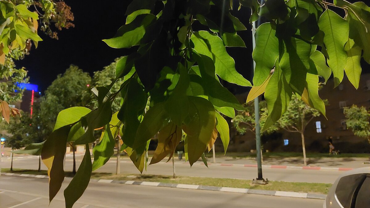 14  КЛОС (175) - CLOSE WAYS ALL