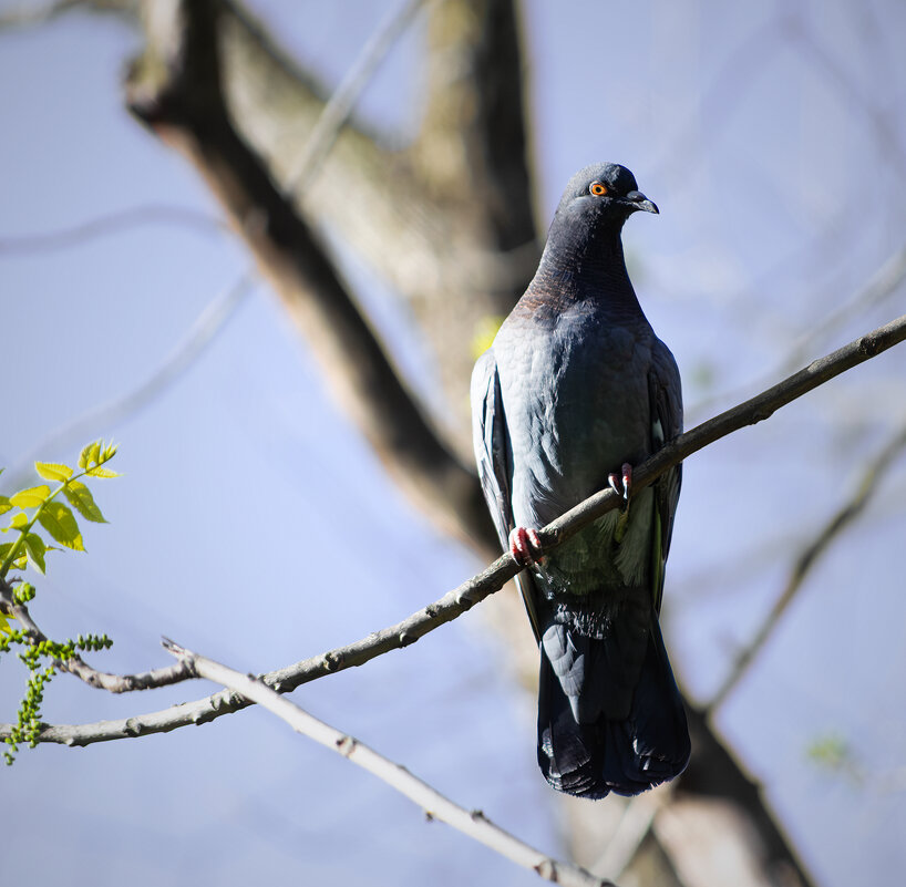 Я тебя вижу... - Игорь Протасов