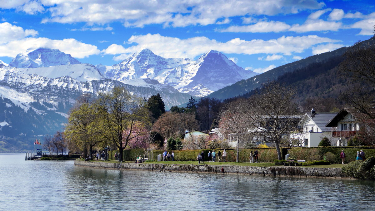 Швейцария Отдых на озере Тун, замок Шадау. /Switzerland  Urlaub Thunersee Schloss Schadau/... - "The Natural World" Александер