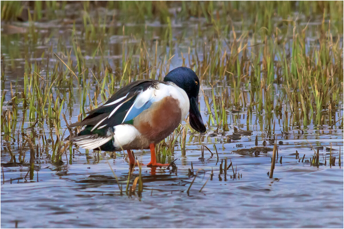 Весь в делах и заботах... - Валентин Котляров