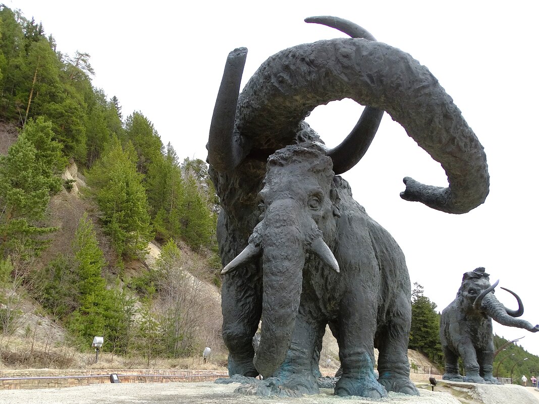 Россия - родина мамонтов - svk *