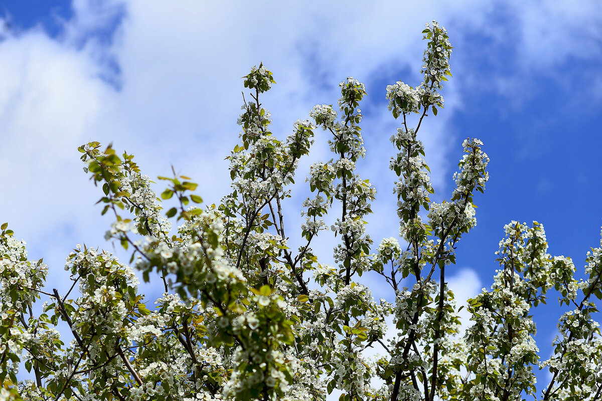Прекрасное время! - Юрий Гайворонскiий