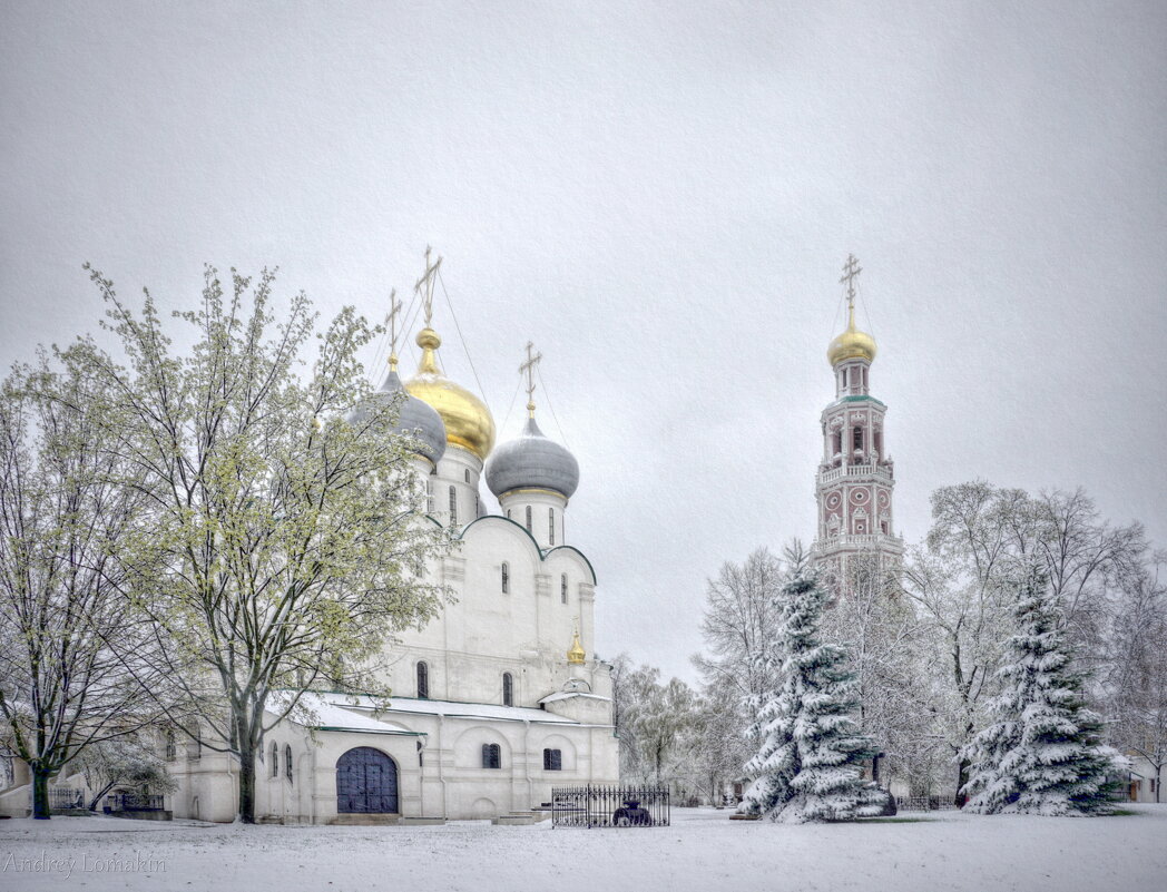 Новодевичий монастырь - Andrey Lomakin
