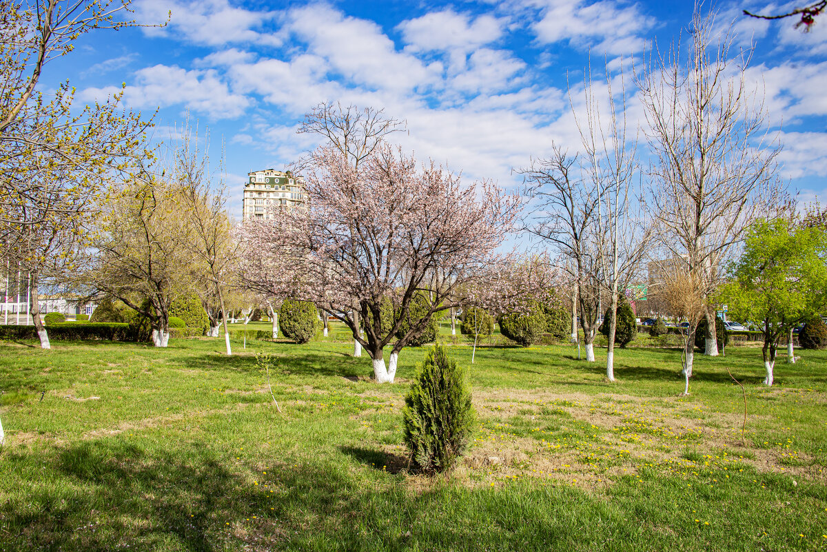 Облачно - Анатолий Чикчирный