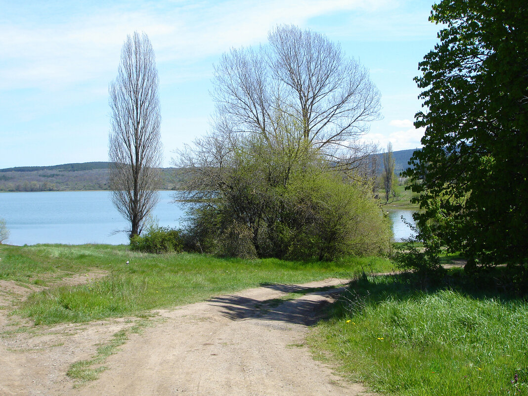 Весенний  пейзаж - Валентин Семчишин