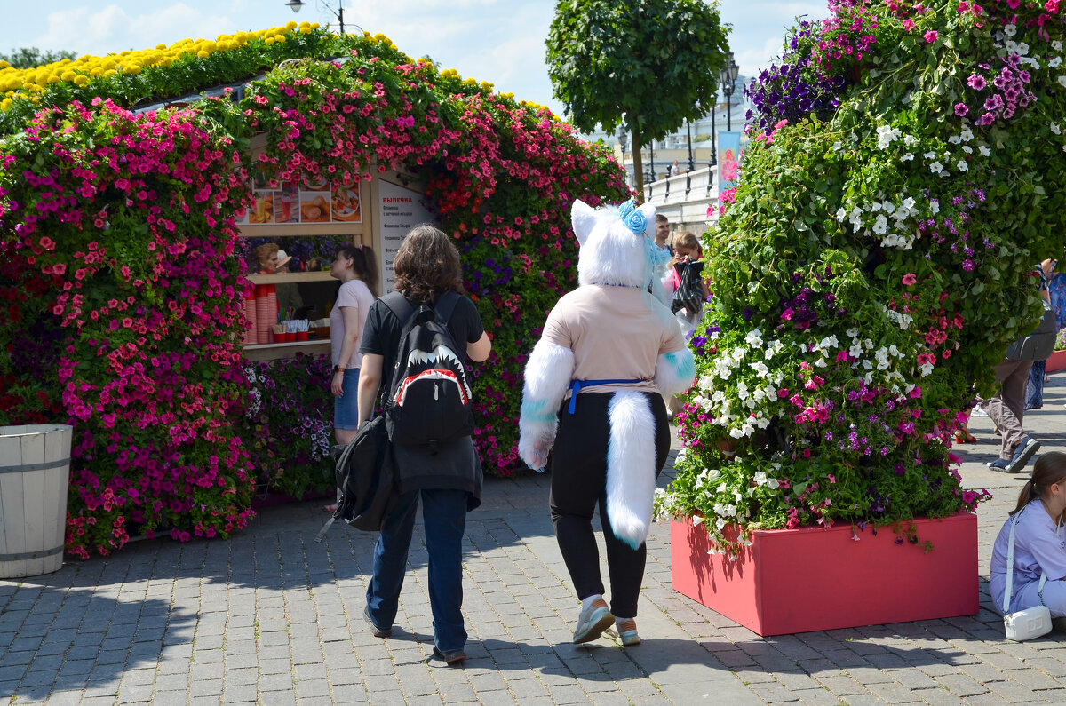 Звери - Валерий Пославский