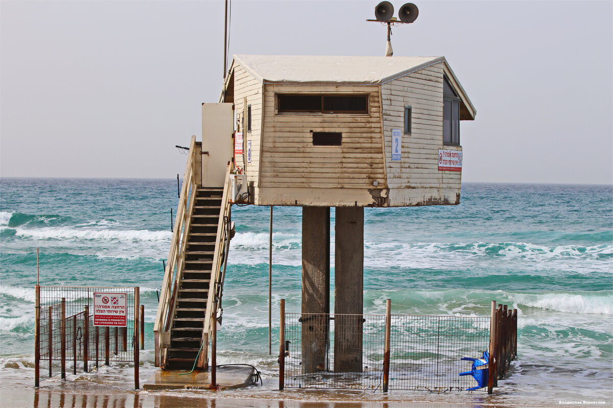 Репортаж 2026 - Владислав Воровский 