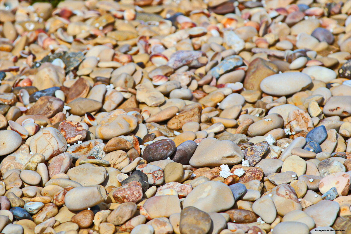 События Репортаж  2026 - Владислав Воровский 