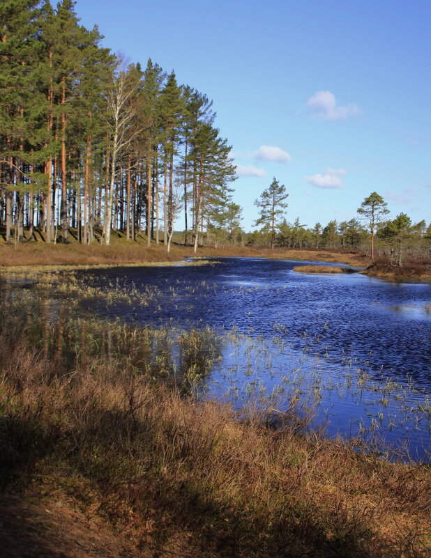 И мягкой дымкою синеет.. - Татьян@ Ивановна