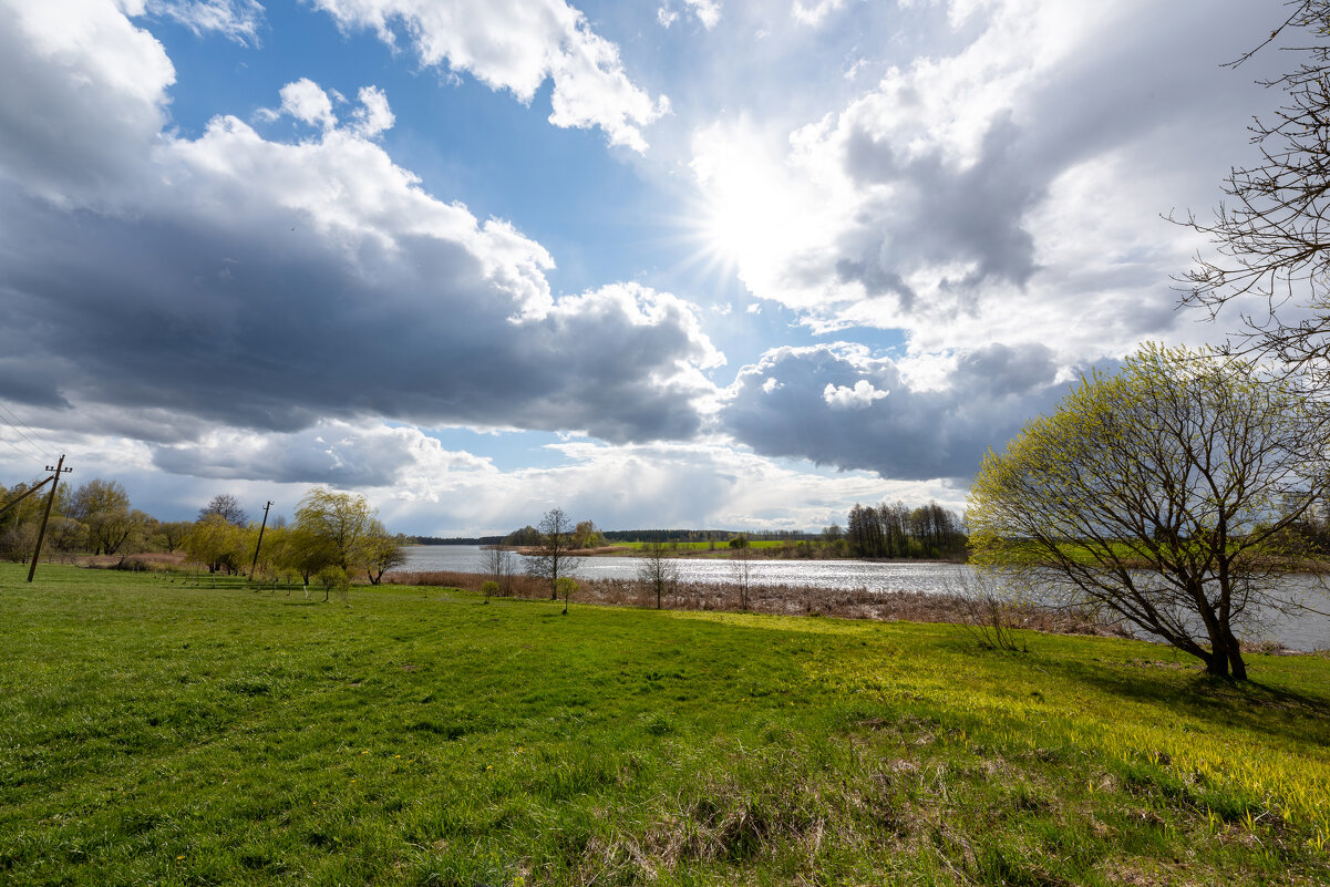 Весенний контраст - Александр Мезенцев