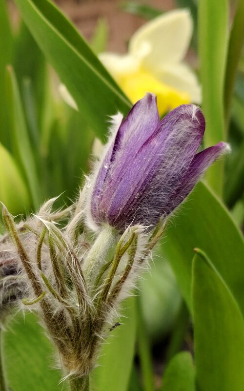 Распрямился... - Александр Кондаков