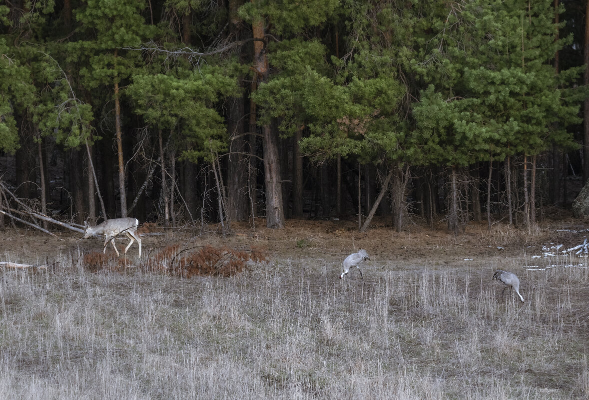 ЕСЛИ НА ЗЕМЛЕ ГДЕ-ТО ЕСТЬ РАЙ, ТО ОН - ЗДЕСЬ! - Володька Завитушкин