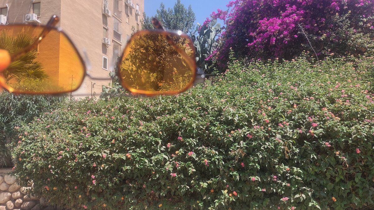 14  КЛОС (177) - CLOSE WAYS ALL